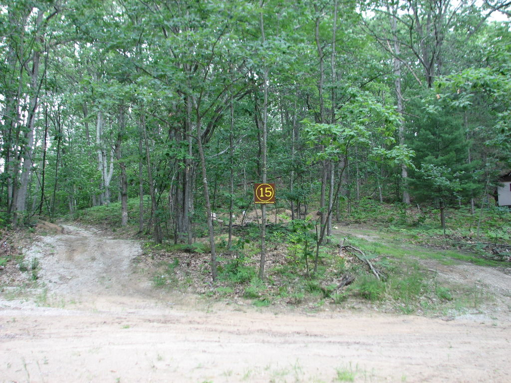 Photo # of Parcel 15S, in Rose Lake Township, Osceola County, near Leroy and Tustin, Michigan