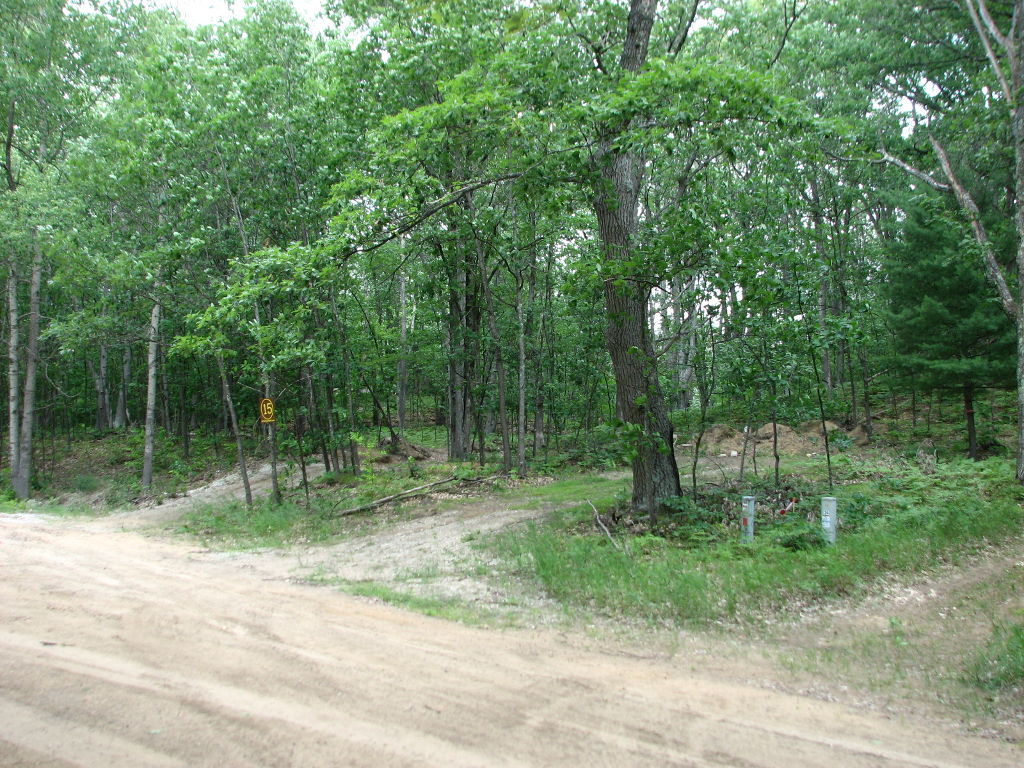 Photo # of Parcel 15S, in Rose Lake Township, Osceola County, near Leroy and Tustin, Michigan