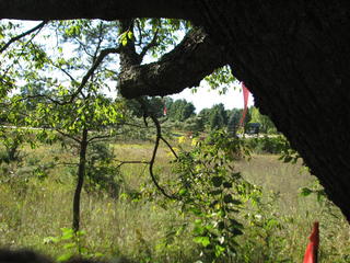 Thumbnail Photo #9 of Parcel 2, in Rose Lake Township, Osceola County, near Leroy and Tustin, Michigan