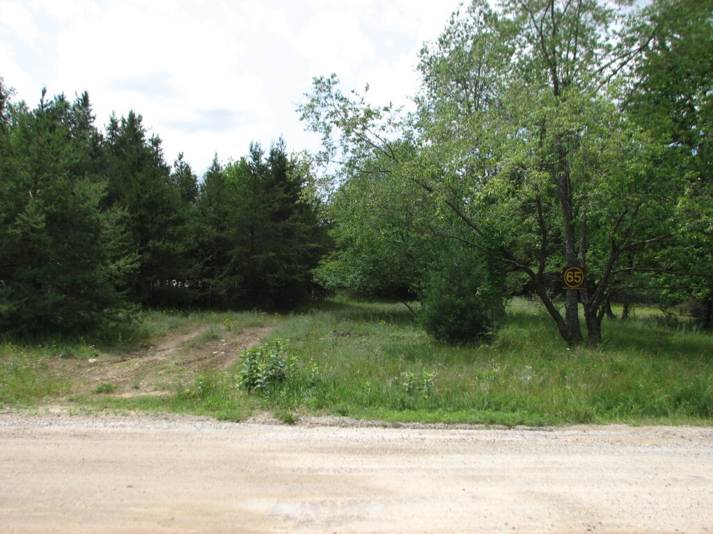 Photo # of Parcel 65, in Rose Lake Township, Osceola County, near Leroy and Tustin, Michigan