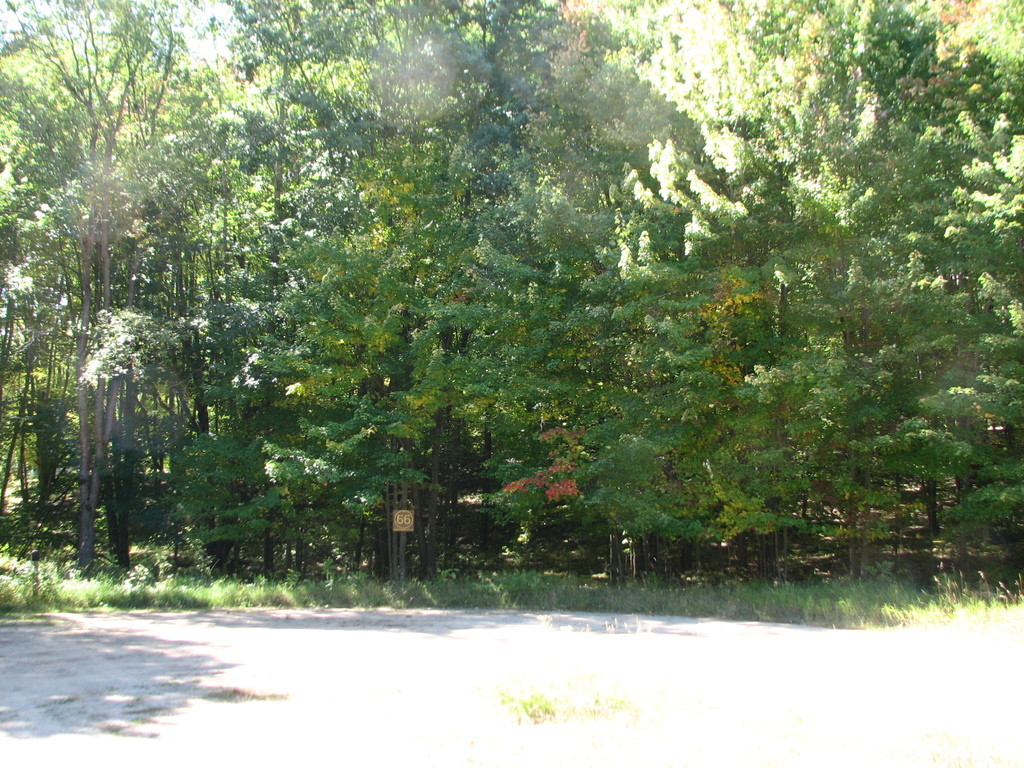 Photo # of Parcel 66, in Rose Lake Township, Osceola County, near Leroy and Tustin, Michigan
