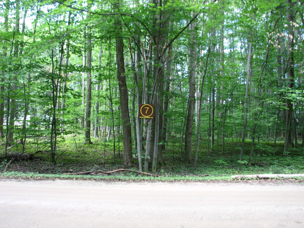 Photo # of Parcel 7NW, in Rose Lake Township, Osceola County, near Leroy and Tustin, Michigan