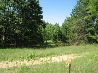 Thumbnail Photo #3 of Parcel J2, in Ellsworth Township, Lake County, near Luther, Michigan