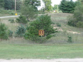 Parcel 1; Land for Sale in Osceola County, Michigan 49655