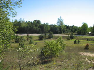 Thumbnail Photo #4 of Parcel 1, in Rose Lake Township, Osceola County, near Leroy and Tustin, Michigan