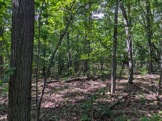 Thumbnail Photo #6 of Parcel 106, in Rose Lake Township, Osceola County, near Leroy and Tustin, Michigan