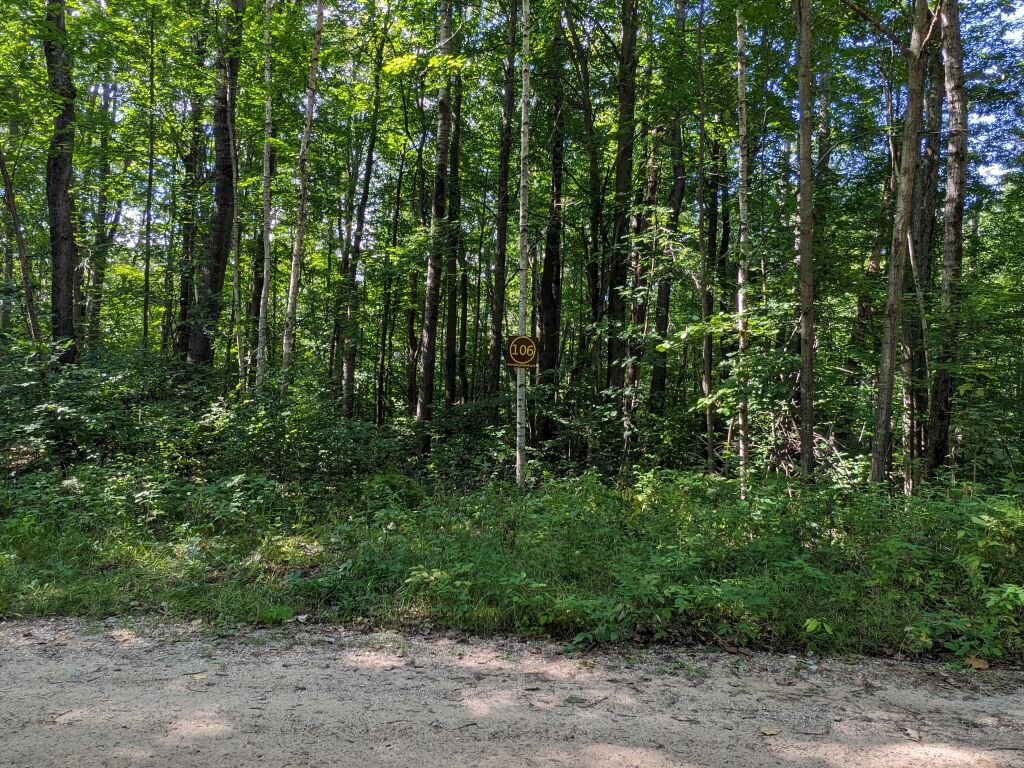 Photo # of Parcel 106, in Rose Lake Township, Osceola County, near Leroy and Tustin, Michigan