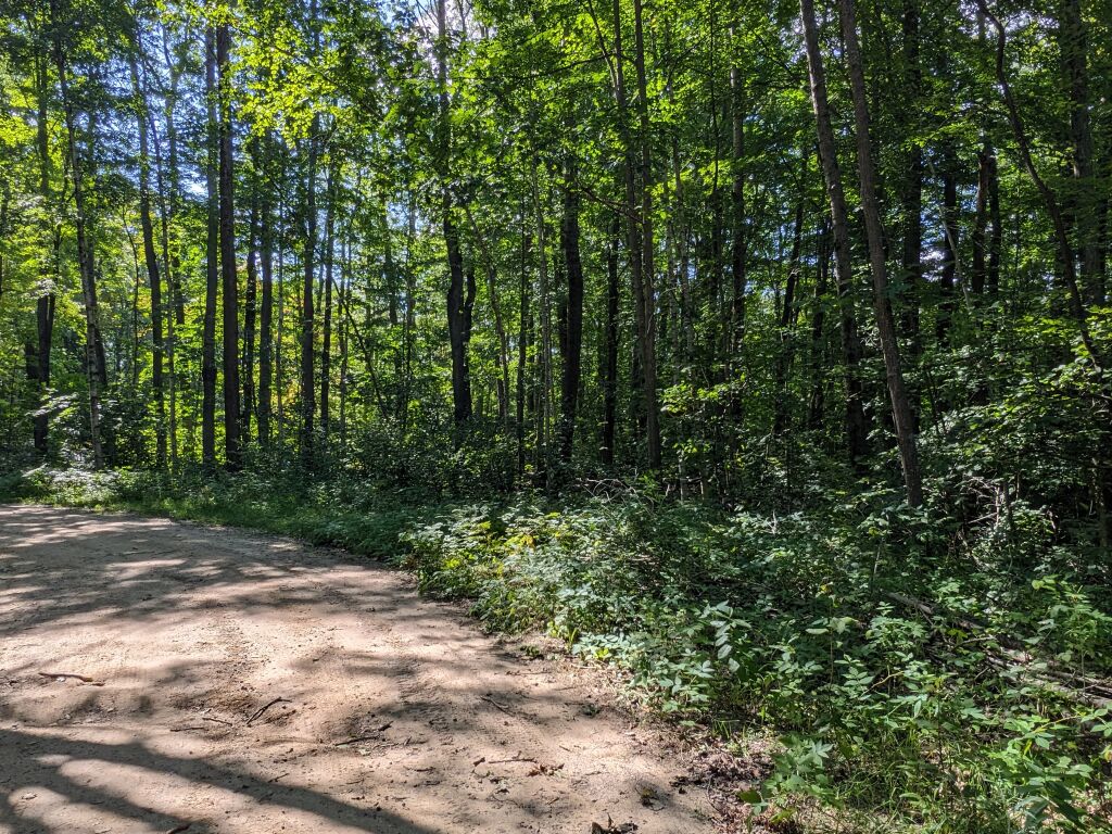 Photo # of Parcel 106, in Rose Lake Township, Osceola County, near Leroy and Tustin, Michigan