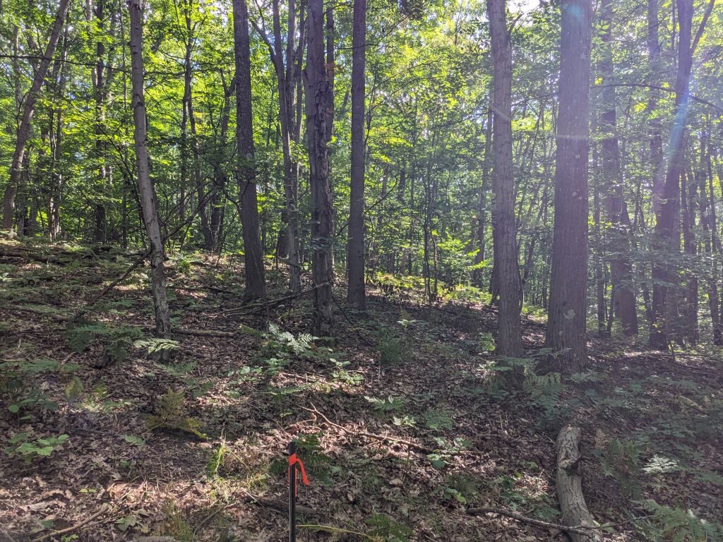 Photo # of Parcel 106, in Rose Lake Township, Osceola County, near Leroy and Tustin, Michigan