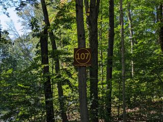 Parcel 107; Land for Sale in Osceola County, Michigan 49655
