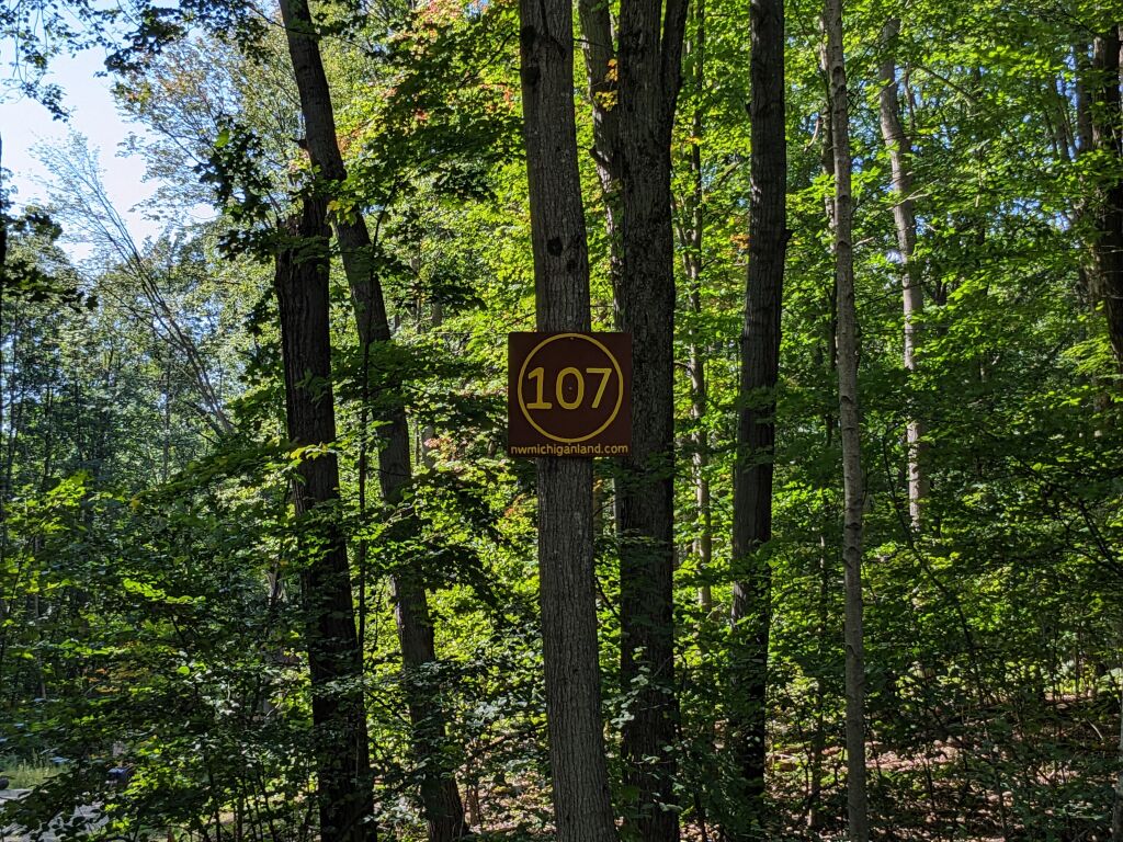 Photo # of Parcel 107, in Rose Lake Township, Osceola County, near Leroy and Tustin, Michigan