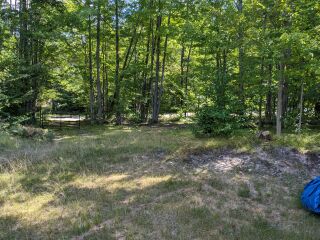 Thumbnail Photo #13 of Parcel 15E, in Rose Lake Township, Osceola County, near Leroy and Tustin, Michigan
