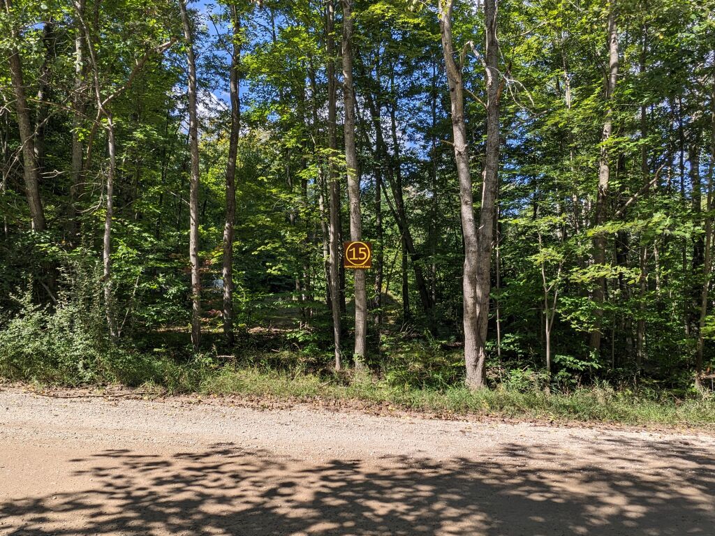 Photo # of Parcel 15E, in Rose Lake Township, Osceola County, near Leroy and Tustin, Michigan