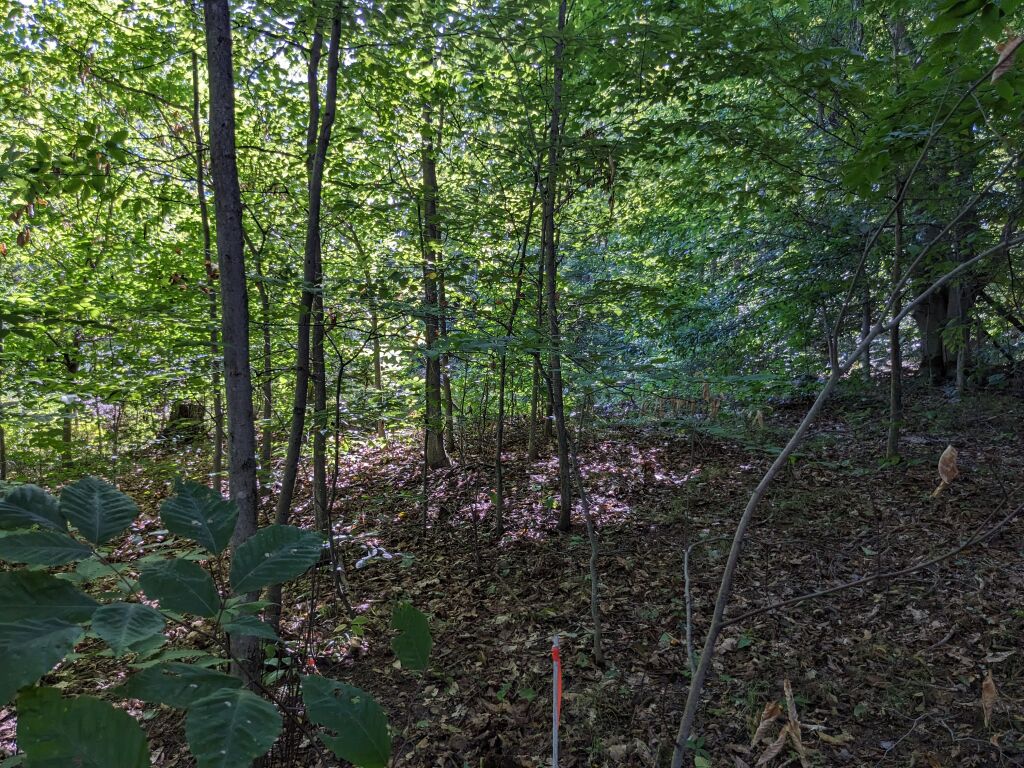 Photo # of Parcel 15E, in Rose Lake Township, Osceola County, near Leroy and Tustin, Michigan