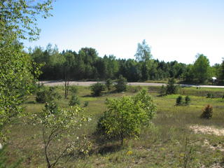 Thumbnail Photo #8 of Parcel 2, in Rose Lake Township, Osceola County, near Leroy and Tustin, Michigan