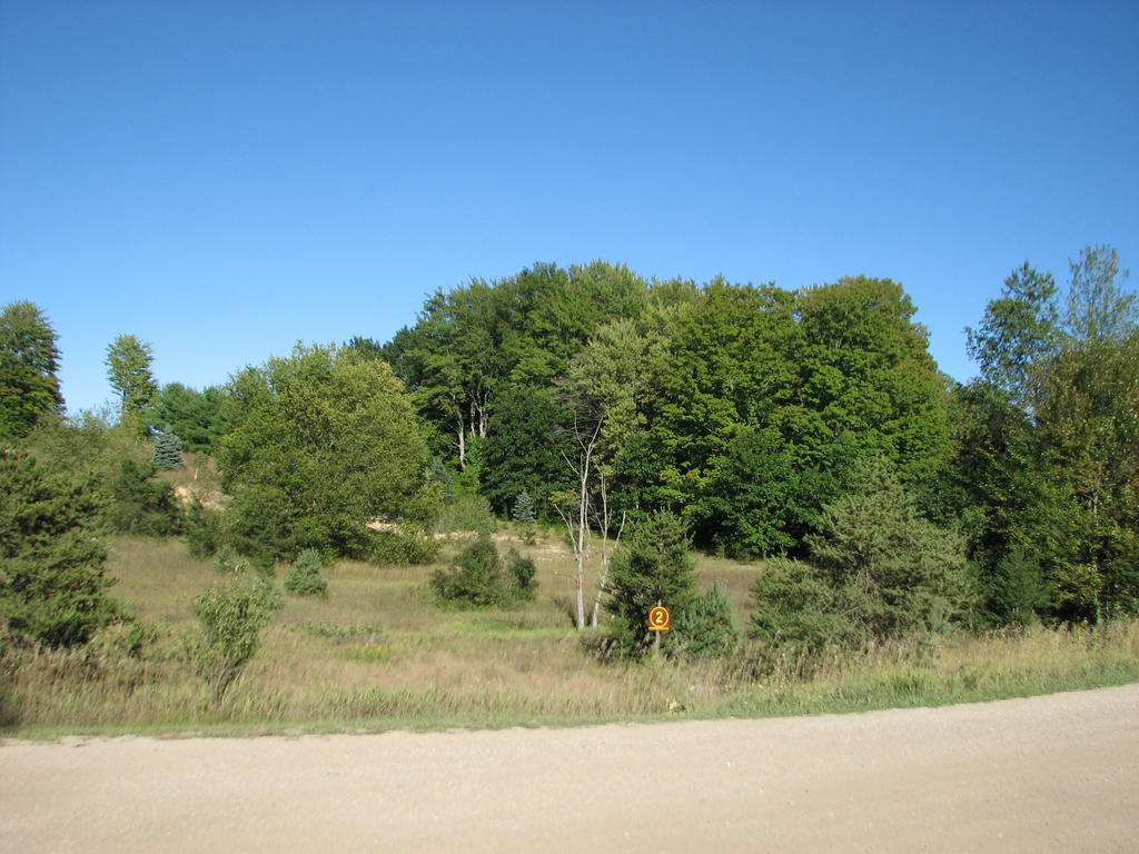 Photo # of Parcel 2, in Rose Lake Township, Osceola County, near Leroy and Tustin, Michigan