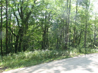 Thumbnail Photo #1 of Parcel 23, in Rose Lake Township, Osceola County, near Leroy and Tustin, Michigan, 49655