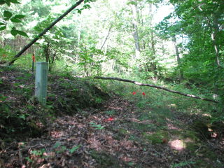 Thumbnail Photo #4 of Parcel 23, in Rose Lake Township, Osceola County, near Leroy and Tustin, Michigan