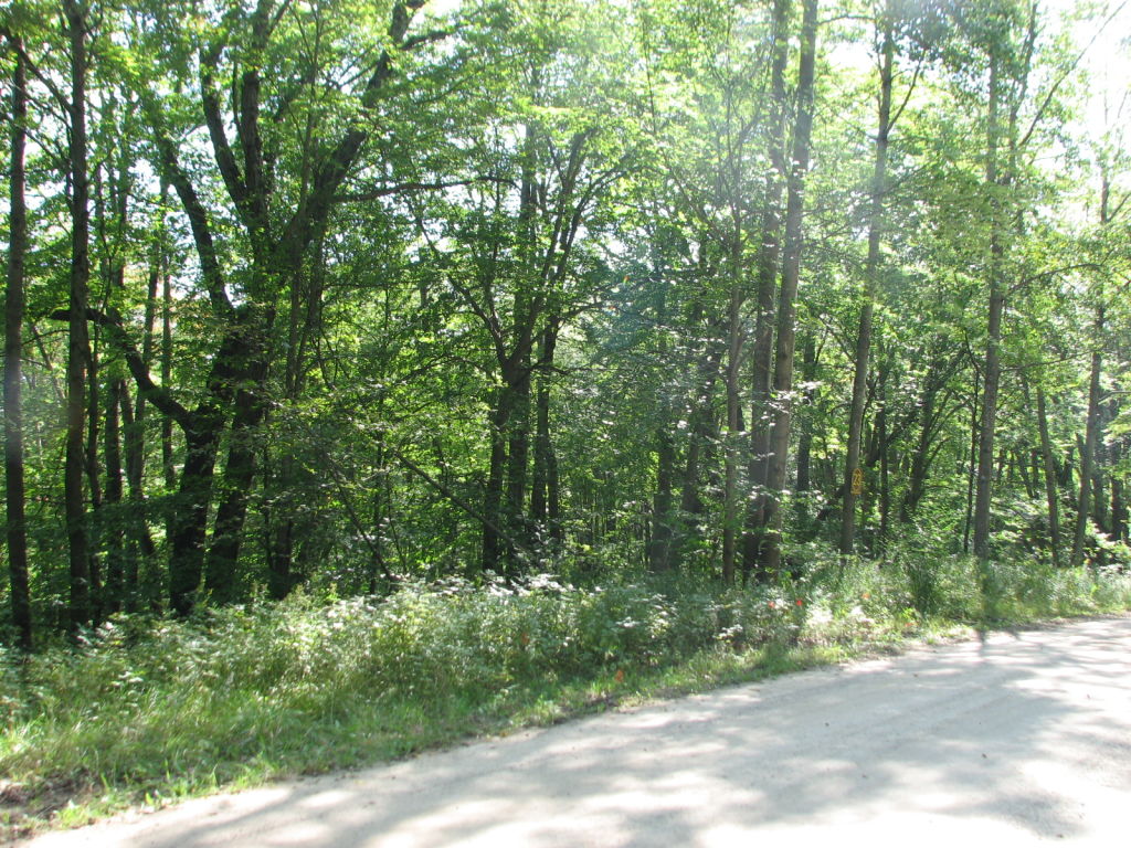 Photo # of Parcel 23, in Rose Lake Township, Osceola County, near Leroy and Tustin, Michigan