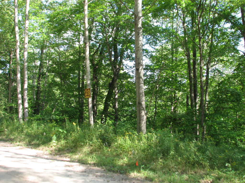 Photo # of Parcel 23, in Rose Lake Township, Osceola County, near Leroy and Tustin, Michigan