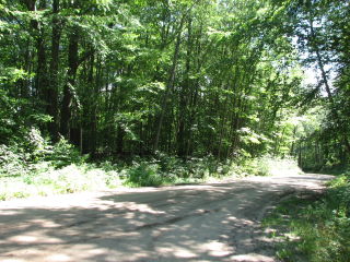 Thumbnail Photo #1 of Parcel 28, in Rose Lake Township, Osceola County, near Leroy and Tustin, Michigan, 49655