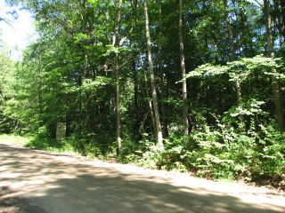 Thumbnail Photo #2 of Parcel 28, in Rose Lake Township, Osceola County, near Leroy and Tustin, Michigan