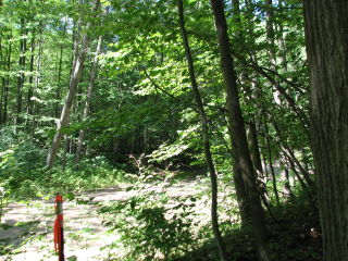 Thumbnail Photo #8 of Parcel 28, in Rose Lake Township, Osceola County, near Leroy and Tustin, Michigan