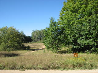 Thumbnail Photo #1 of Parcel 3, in Rose Lake Township, Osceola County, near Leroy and Tustin, Michigan