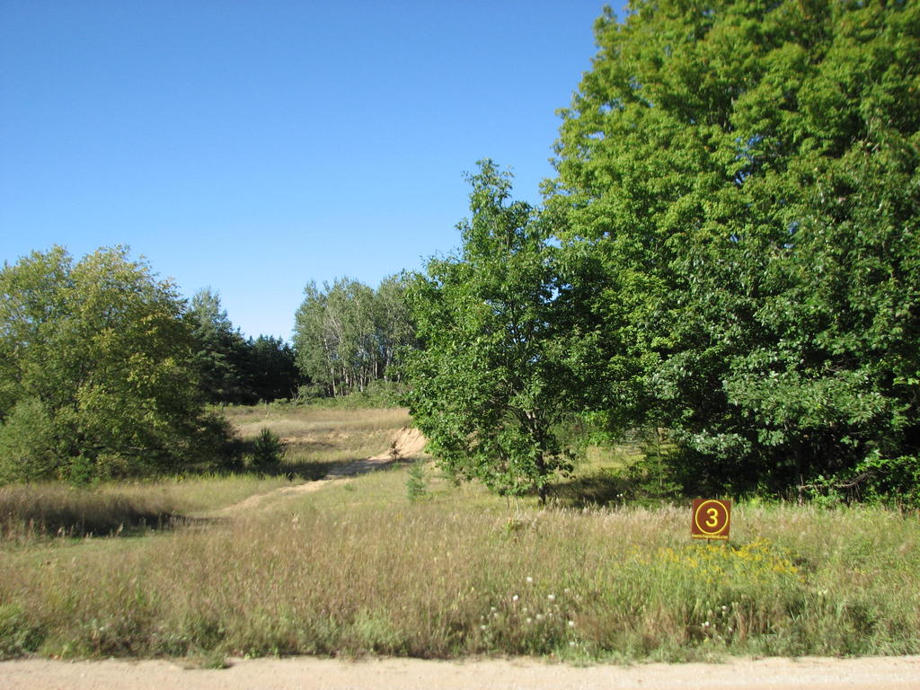 Photo # of Parcel 3, in Rose Lake Township, Osceola County, near Leroy and Tustin, Michigan