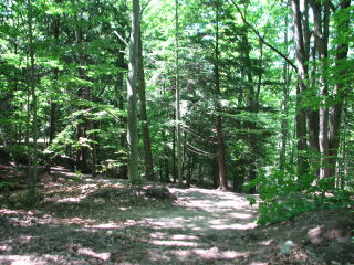 Thumbnail Photo #10 of Parcel 31NW, in Rose Lake Township, Osceola County, near Leroy and Tustin, Michigan