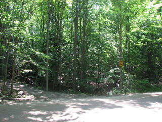 Thumbnail Photo #2 of Parcel 31NW, in Rose Lake Township, Osceola County, near Leroy and Tustin, Michigan