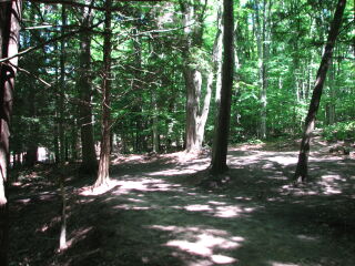 Thumbnail Photo #9 of Parcel 31NW, in Rose Lake Township, Osceola County, near Leroy and Tustin, Michigan