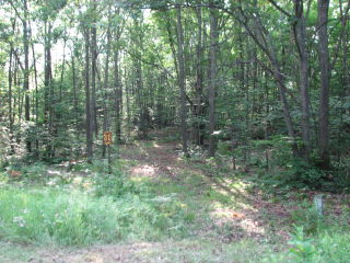 Thumbnail Photo #1 of Parcel 31W, in Rose Lake Township, Osceola County, near Leroy and Tustin, Michigan