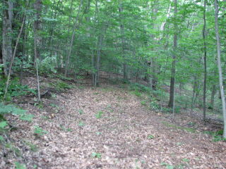 Thumbnail Photo #10 of Parcel 31W, in Rose Lake Township, Osceola County, near Leroy and Tustin, Michigan