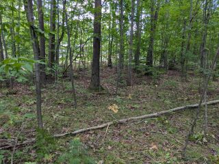 Thumbnail Photo #2 of Parcel 40H, in Rose Lake Township, Osceola County, near Leroy and Tustin, Michigan
