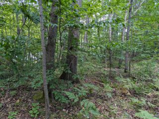 Thumbnail Photo #6 of Parcel 40H, in Rose Lake Township, Osceola County, near Leroy and Tustin, Michigan
