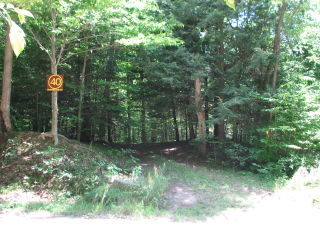 Parcel 40W; Land for Sale in Osceola County, Michigan 49655