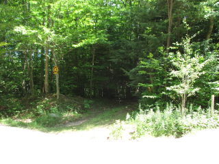 Thumbnail Photo #1 of Parcel 40W, in Rose Lake Township, Osceola County, near Leroy and Tustin, Michigan