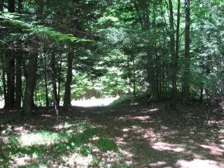 Thumbnail Photo #9 of Parcel 40W, in Rose Lake Township, Osceola County, near Leroy and Tustin, Michigan
