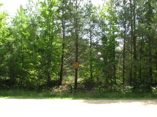 Thumbnail Photo #1 of Parcel 42, in Rose Lake Township, Osceola County, near Leroy and Tustin, Michigan