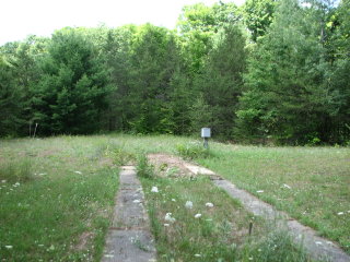 Thumbnail Photo #4 of Parcel 42, in Rose Lake Township, Osceola County, near Leroy and Tustin, Michigan