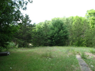 Thumbnail Photo #5 of Parcel 42, in Rose Lake Township, Osceola County, near Leroy and Tustin, Michigan