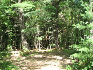 Thumbnail Photo #2 of Parcel 54, in Rose Lake Township, Osceola County, near Leroy and Tustin, Michigan