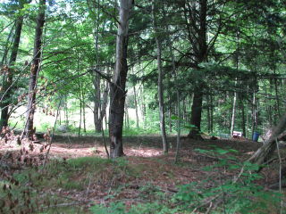 Thumbnail Photo #4 of Parcel 54, in Rose Lake Township, Osceola County, near Leroy and Tustin, Michigan