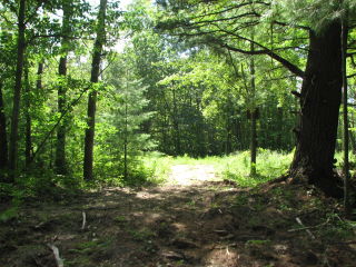 Thumbnail Photo #9 of Parcel 54, in Rose Lake Township, Osceola County, near Leroy and Tustin, Michigan