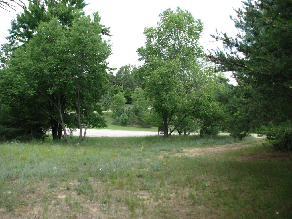 Photo # of Parcel 65, in Rose Lake Township, Osceola County, near Leroy and Tustin, Michigan