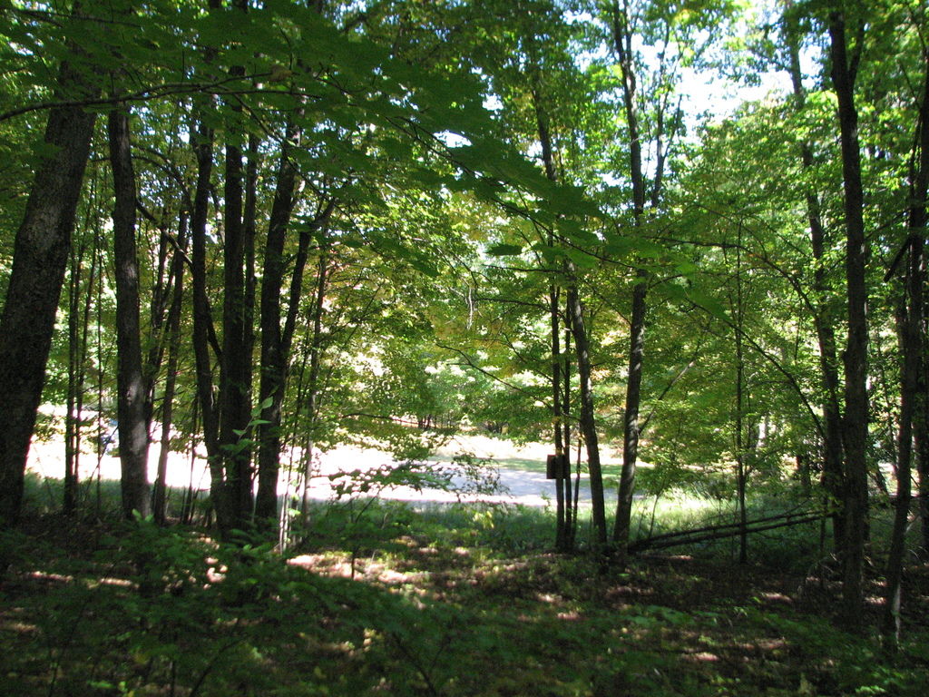 Photo # of Parcel 66, in Rose Lake Township, Osceola County, near Leroy and Tustin, Michigan