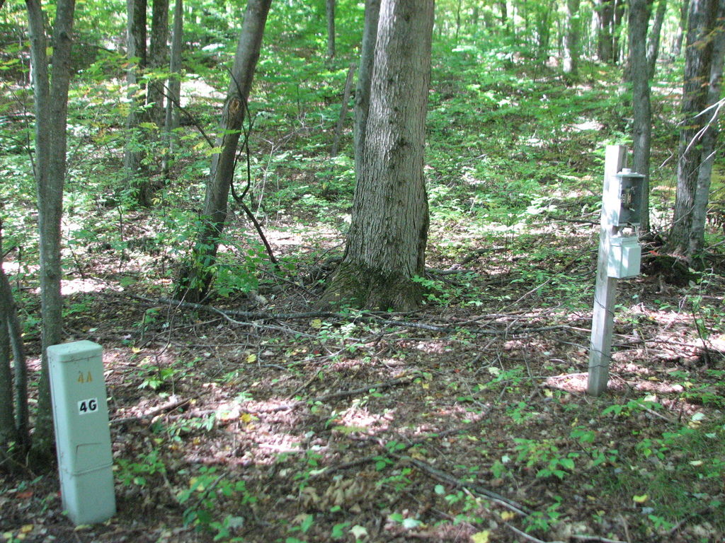Photo # of Parcel 66, in Rose Lake Township, Osceola County, near Leroy and Tustin, Michigan