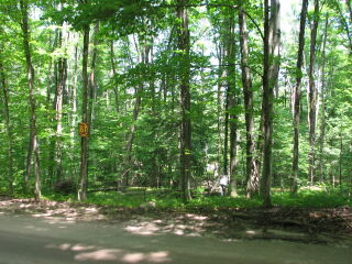 Thumbnail Photo #1 of Parcel 67, in Rose Lake Township, Osceola County, near Leroy and Tustin, Michigan
