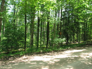 Thumbnail Photo #2 of Parcel 67, in Rose Lake Township, Osceola County, near Leroy and Tustin, Michigan